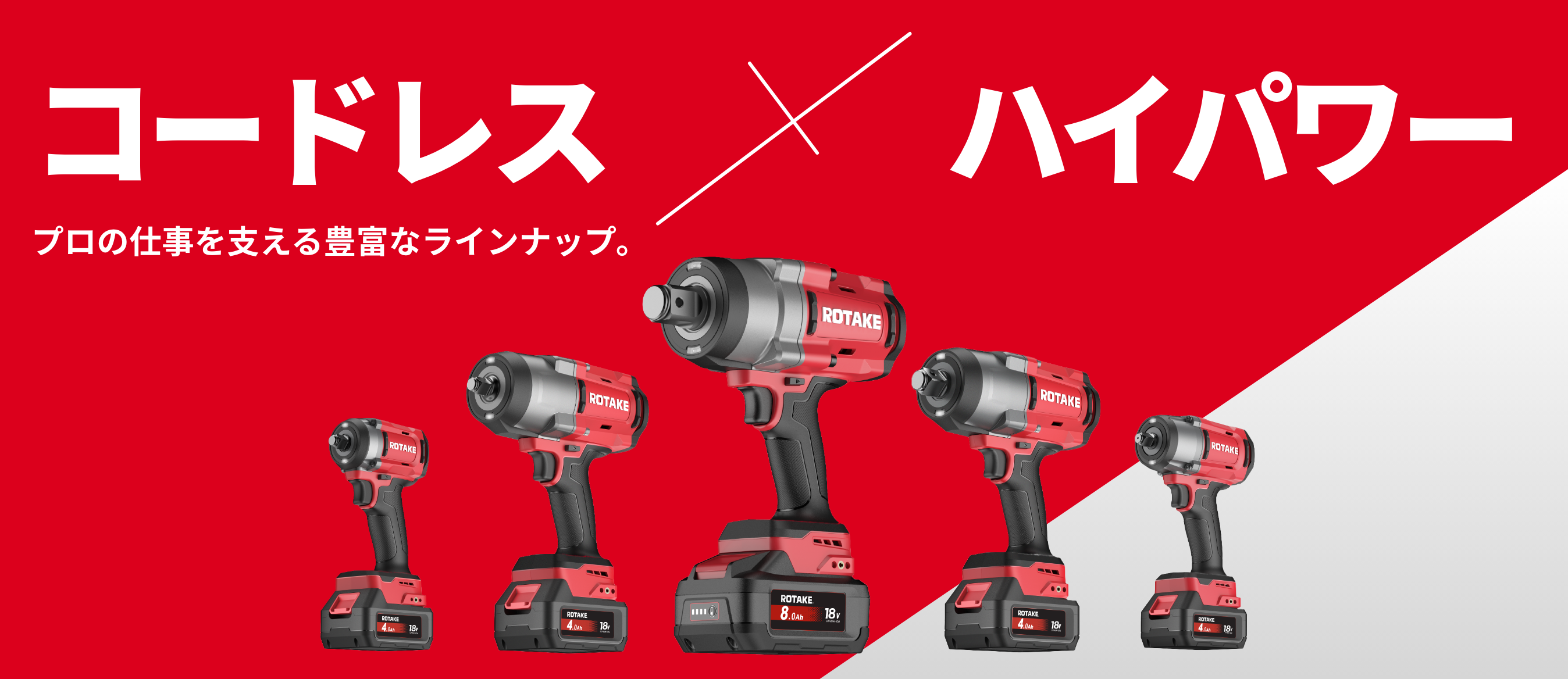 ロテイクについて